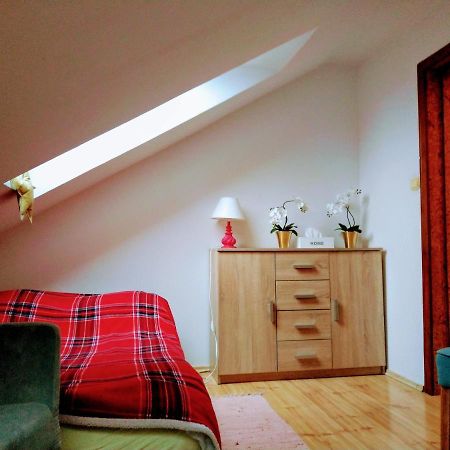 Apartament Milena ポラニツァ・ズドゥルイ エクステリア 写真